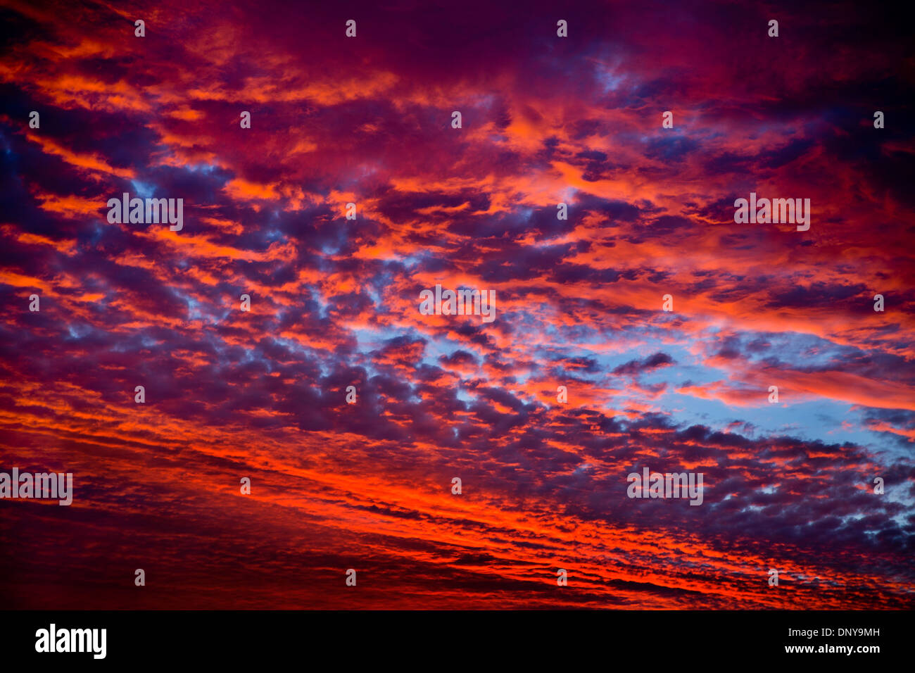 Dawn novembre sky, Kent, Regno Unito Foto Stock