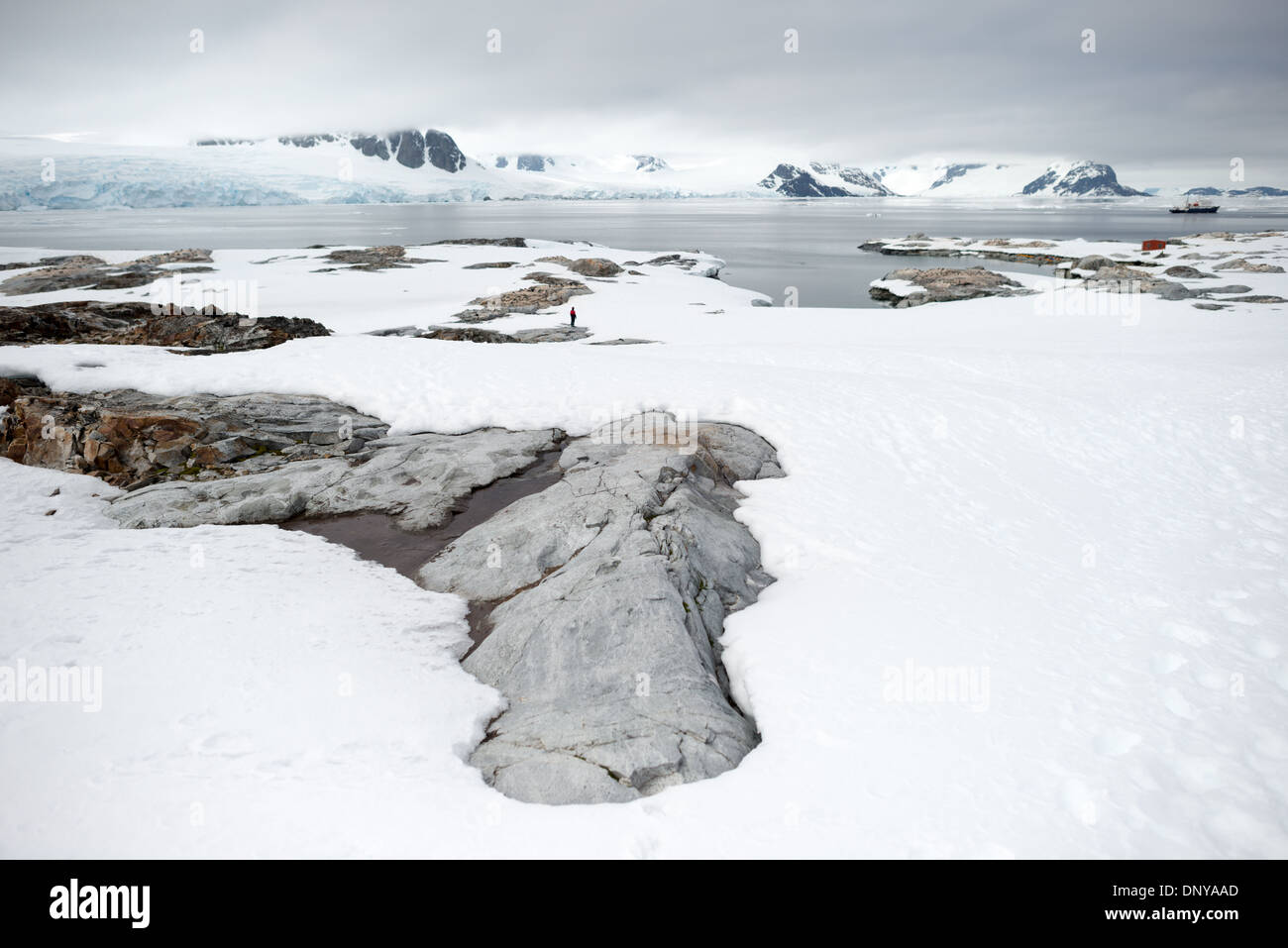 Antartide - un ampio angolo di ripresa di alcuni il paesaggio panoramico su Petermann Island sul lato occidentale della penisola antartica. Foto Stock
