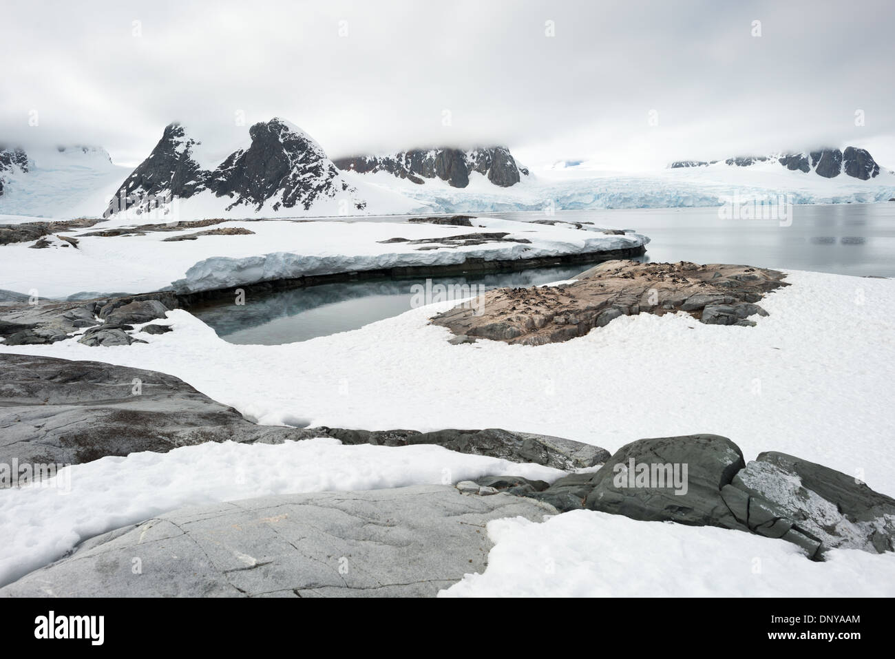 Antartide - un ampio angolo di ripresa di alcuni il paesaggio panoramico su Petermann Island sul lato occidentale della penisola antartica. Foto Stock