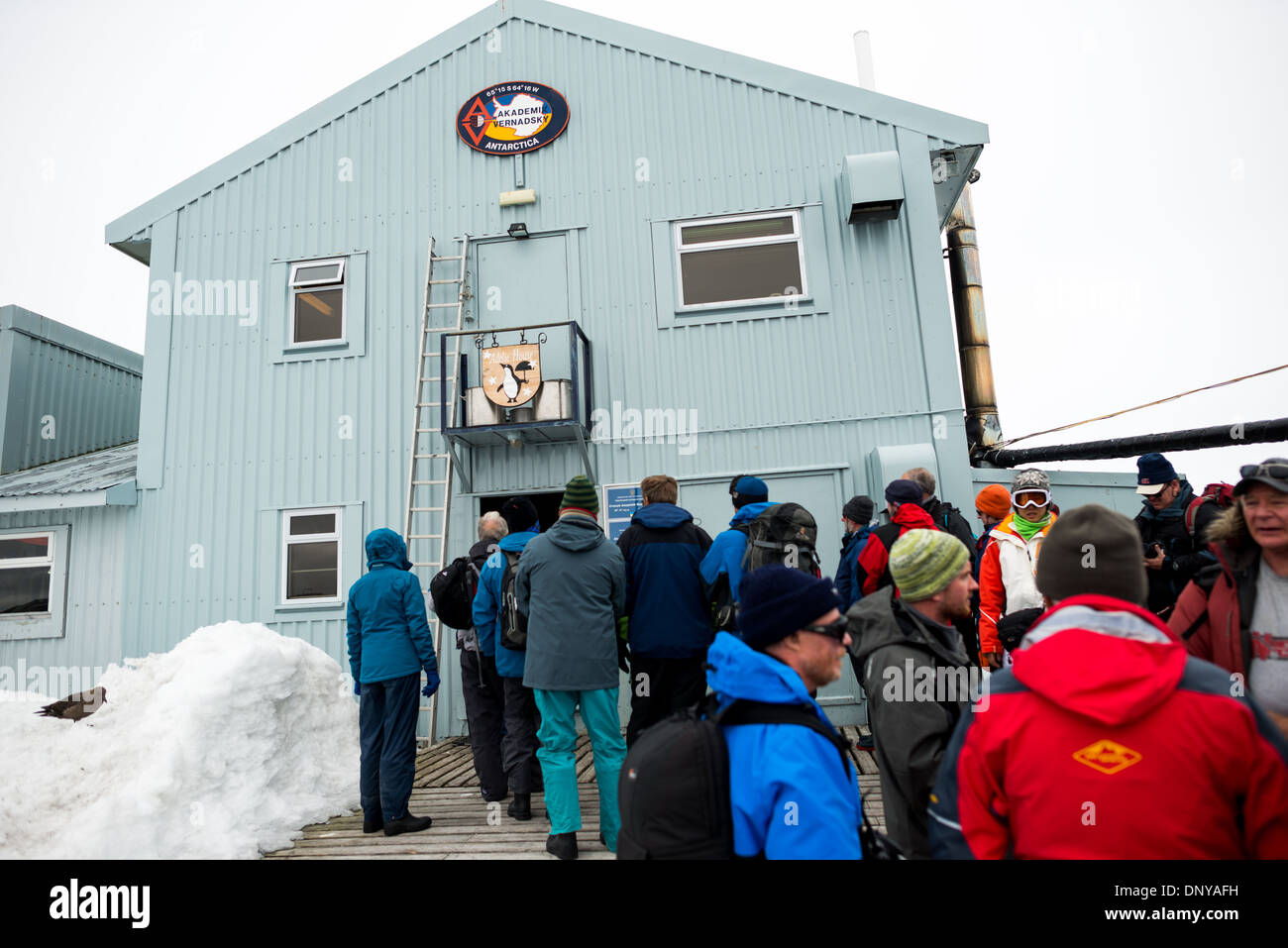 Antartide - linea di turisti fino a inserire l'Ucraina Vernadsky base scientifica sulla penisola antartica. È stato originariamente stabilito dalla British prima come base F nel British Isole Falkland dipendenze e successivamente come stazione di Faraday fu trasferito in Ucraina nel 1996 e ribattezzata Vernadsky Base di ricerca dopo mineralogista sovietico Vladimir Vernadsky. Foto Stock