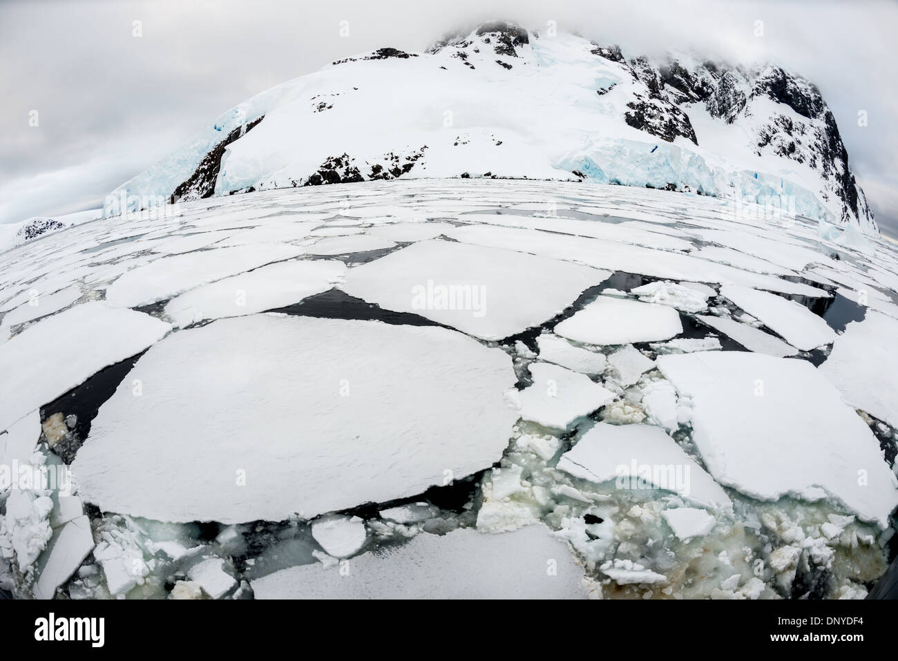 Canale di Lemaire Mare ghiaccio Penisola Antartica // [Canale di Lemaire Antartide] [Penisola Antartica del Canale DI LEMAIRE] [Penisola di Kiev] CANALE DI LEMAIRE, Antartide — sottili placche di ghiaccio marino coprono la superficie del Canale di Lemaire lungo la Penisola Antartica. Questo tipo di formazione di ghiaccio è comune nelle acque antartiche, dove le temperature gelide creano diversi modelli di copertura del ghiaccio. Il canale, soprannominato "Kodak Gap", sperimenta cambiamenti nelle condizioni del ghiaccio durante tutta la stagione che possono influenzare la navigazione della nave. Foto Stock