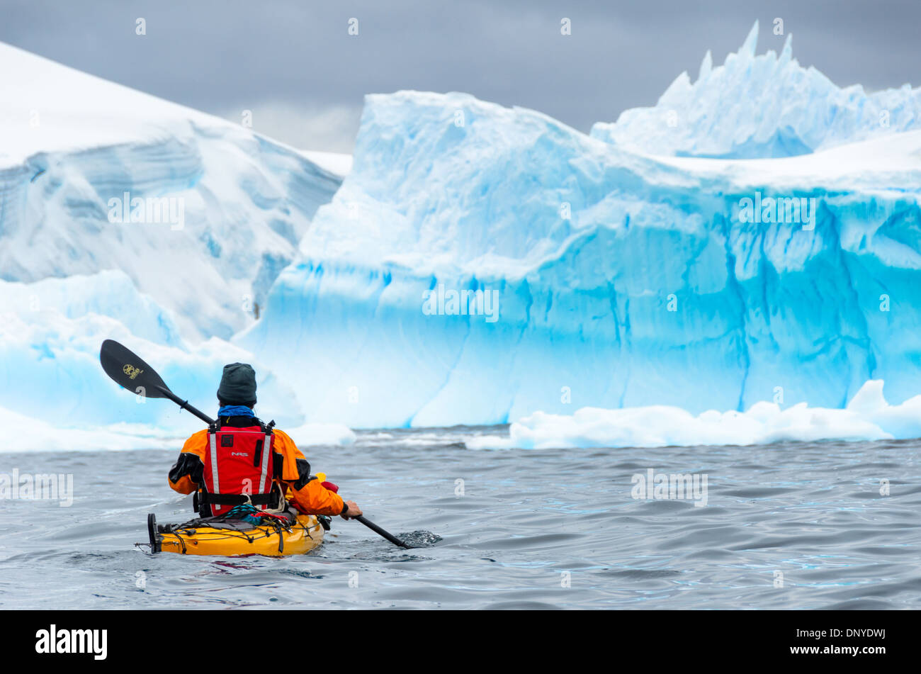 Kayak tra gli Iceberg Melchior Islands Antartide // MELCHIOR Islands, Antartide - Un kayak con equipaggiamento specializzato in acqua fredda naviga attraverso acque punteggiate di enormi iceberg blu vicino alle Isole Melchior, situato sul lato occidentale della penisola Antartica. Le isole Melchior, un arcipelago situato nella baia di Dallmann, sono comunemente visitate durante le crociere in Antartide. Il kayak in queste acque offre agli avventurieri una prospettiva unica delle spettacolari formazioni di ghiaccio e dell'ecosistema marino della regione. L'attrezzatura di protezione termica adeguata è essenziale per la sicurezza in questi modelli frigidi Foto Stock