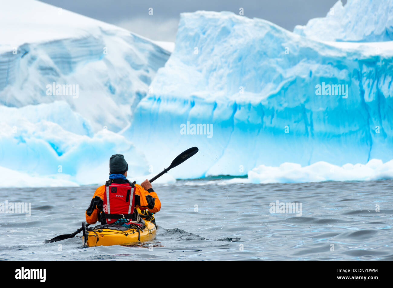 Antartide - un kayaker orientata fino in acqua fredda-pale marcia verso grandi iceberg blu nei pressi di Melchior isola sul lato occidentale della penisola antartica. Foto Stock