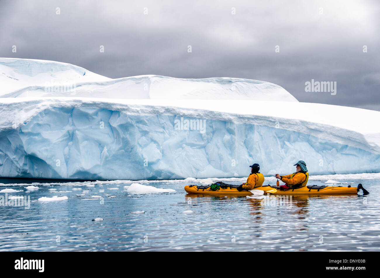 Kayakisti marini Kayak tandem Iceberg Isola Melchior Penisola Antartica | ISOLA MELCHIOR, Antartide — Due kayakisti marini in un kayak tandem giallo remano sotto la parete blu vertiginosa di un iceberg tabulari vicino all’Isola Melchior sulla Penisola Antartica. Il kayak tra gli iceberg comporta veri pericoli: eventi di calata e ribaltamenti improvvisi, noti tra le guide come eventi « tartaruga », possono verificarsi senza preavviso quando lo scioglimento sposta il centro di gravità di un iceberg. Foto Stock