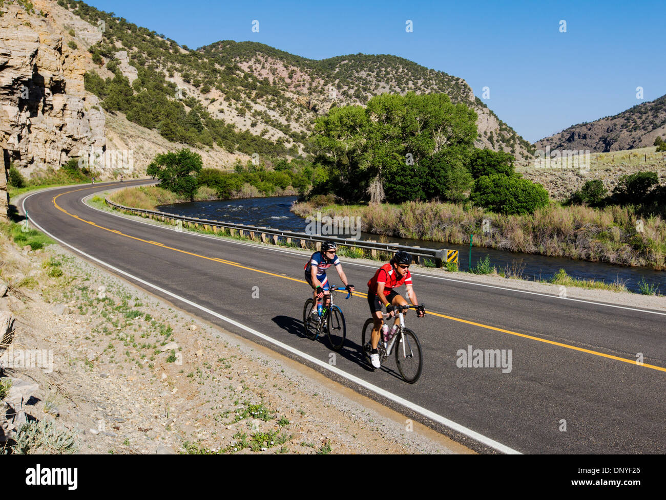 I ciclisti in sella alla corsa annuale Rockies tour in bicicletta, Highway 50, Arkansas River, a sud di salida, Colorado, STATI UNITI D'AMERICA Foto Stock