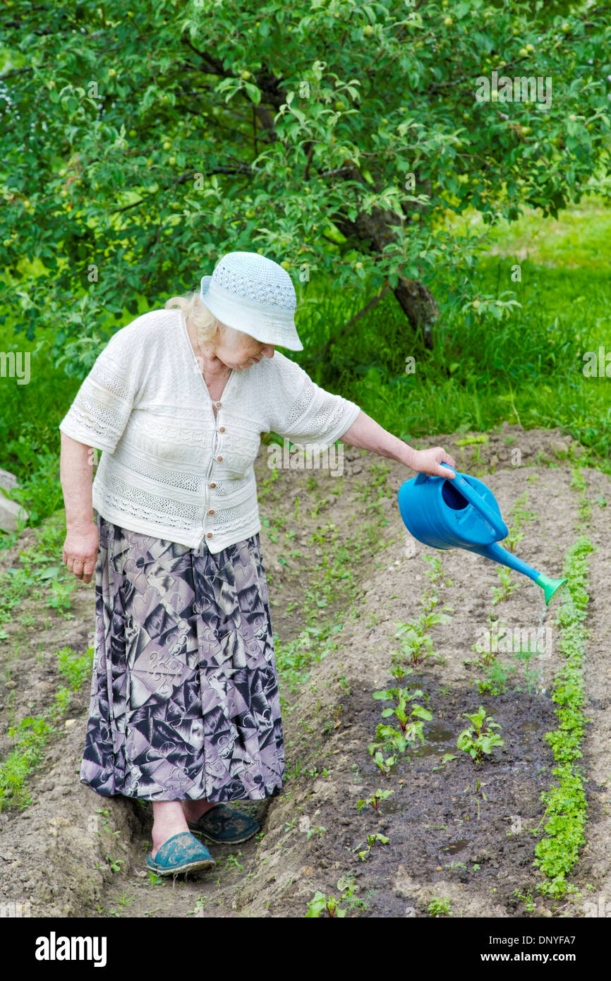 La nonna acque letto da un annaffiatoio Foto Stock