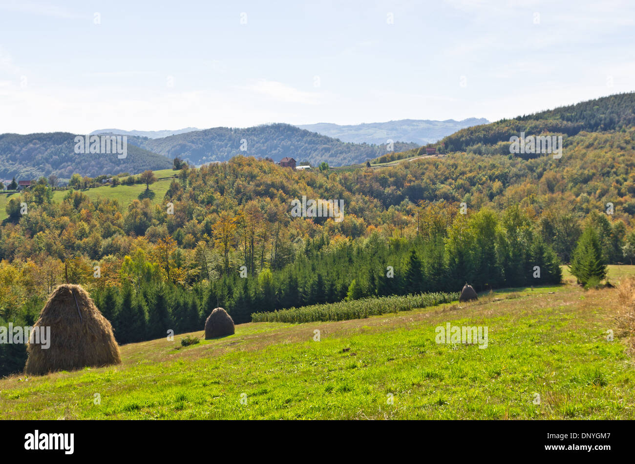 Punto di vista su un paesaggio del monte Bobija, colline, haystacks, prati e alberi colorati Foto Stock