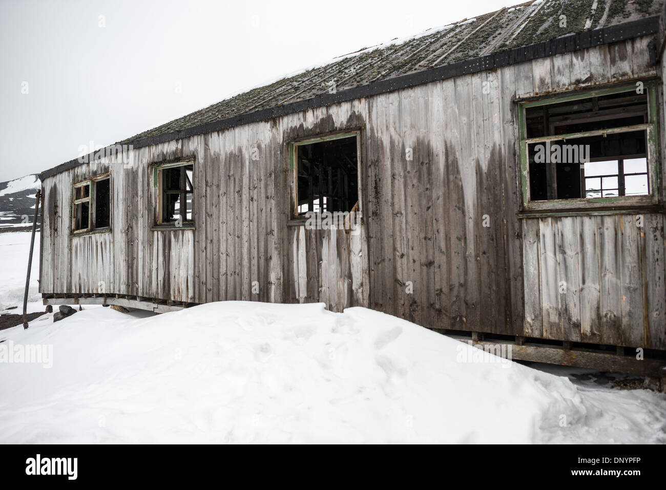 Stazione delle balene abbandonata edificio in legno rovine Whalers Bay Deception Island Antartide / DECEPTION ISLAND, Antartide - le rovine di legno di un edificio a Whalers Bay sono tra i resti sopravvissuti della stazione di caccia Hektor sull'isola Deception. La stazione costiera norvegese — l'unica operazione di caccia commerciale di balene a terra nell'Antartico — operò dal 1912 fino all'aprile 1931, quando la baleniera pelagica e la grande depressione la rendevano antieconomica. Nel 1944 gli edifici abbandonati furono rioccupati come British base B, la prima base istituita dalla spedizione segreta Operatio in tempo di guerra Foto Stock