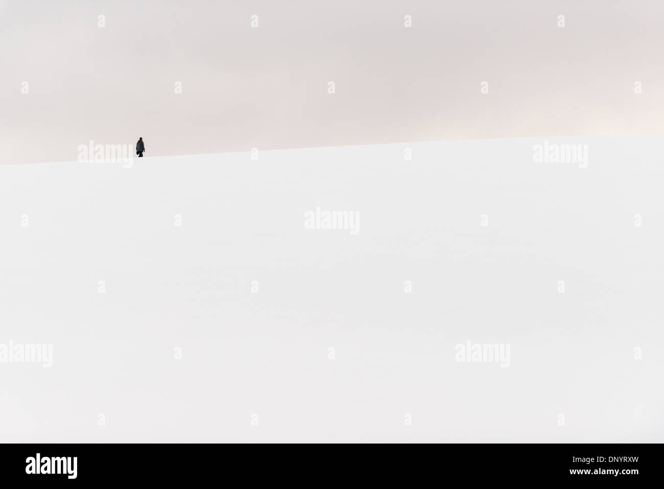 Antartide - Una persona escursioni alla sommità di una piccola coperta di neve in collina Hughes Bay sulla costa occidentale della penisola antartica. Foto Stock