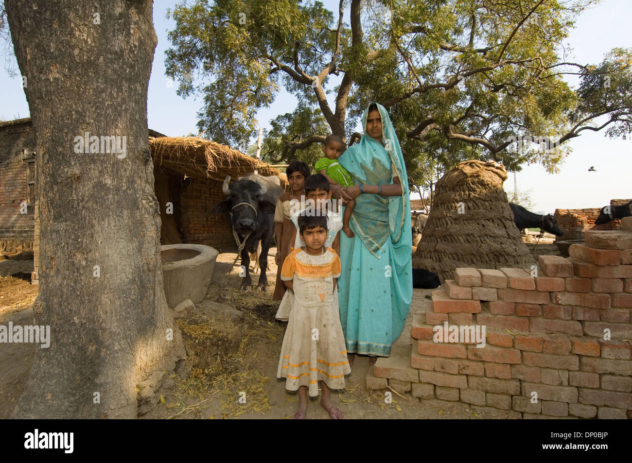 Mar 07, 2006; Anantpur village, Uttar-Pradesh, INDIA; Sitara, un 35-anno-vecchia donna qualificata per una CASHPOR micro-credito prestito. Ha comprato questo buffalo con la sua Rs. 6.000 prestito tre mesi fa. Lei ora vende da 4 a 5 litri di latte al giorno, mantenendo il resto per il suo consumo personale.. Credito: Foto di Frank Huster/ZUMA premere. (©) Copyright 2006 da Frank Huster Foto Stock