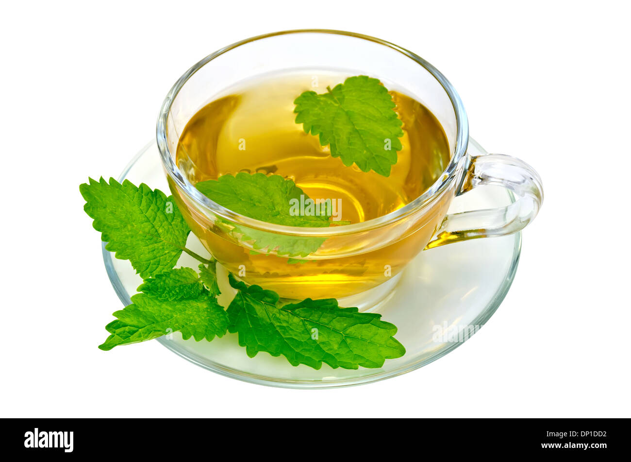 Il tè alle erbe in un bicchiere di vetro e piattino, un rametto di ortica isolato su uno sfondo bianco Foto Stock
