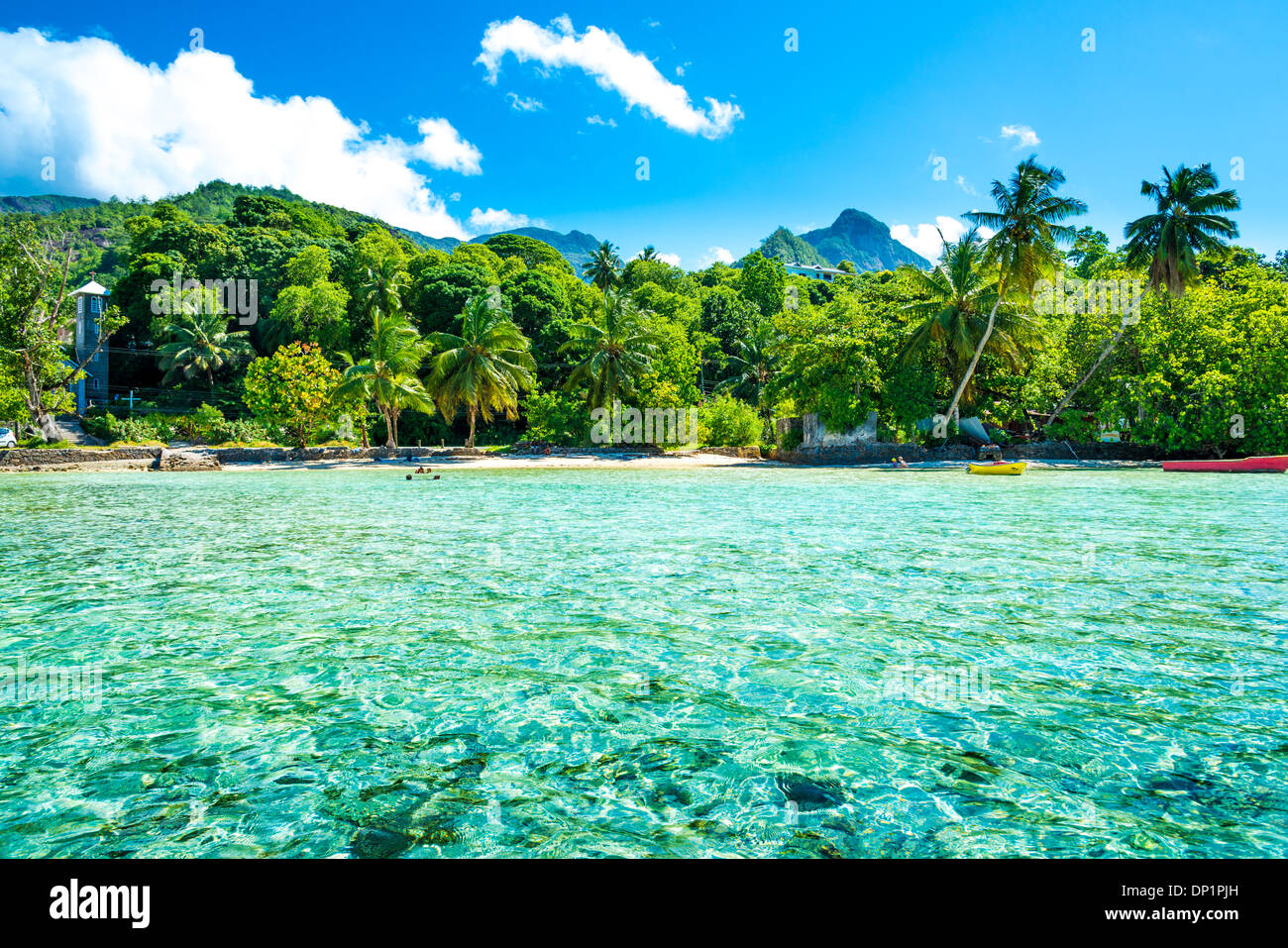 Spiaggia tropicale con foglie di palmo Foto Stock