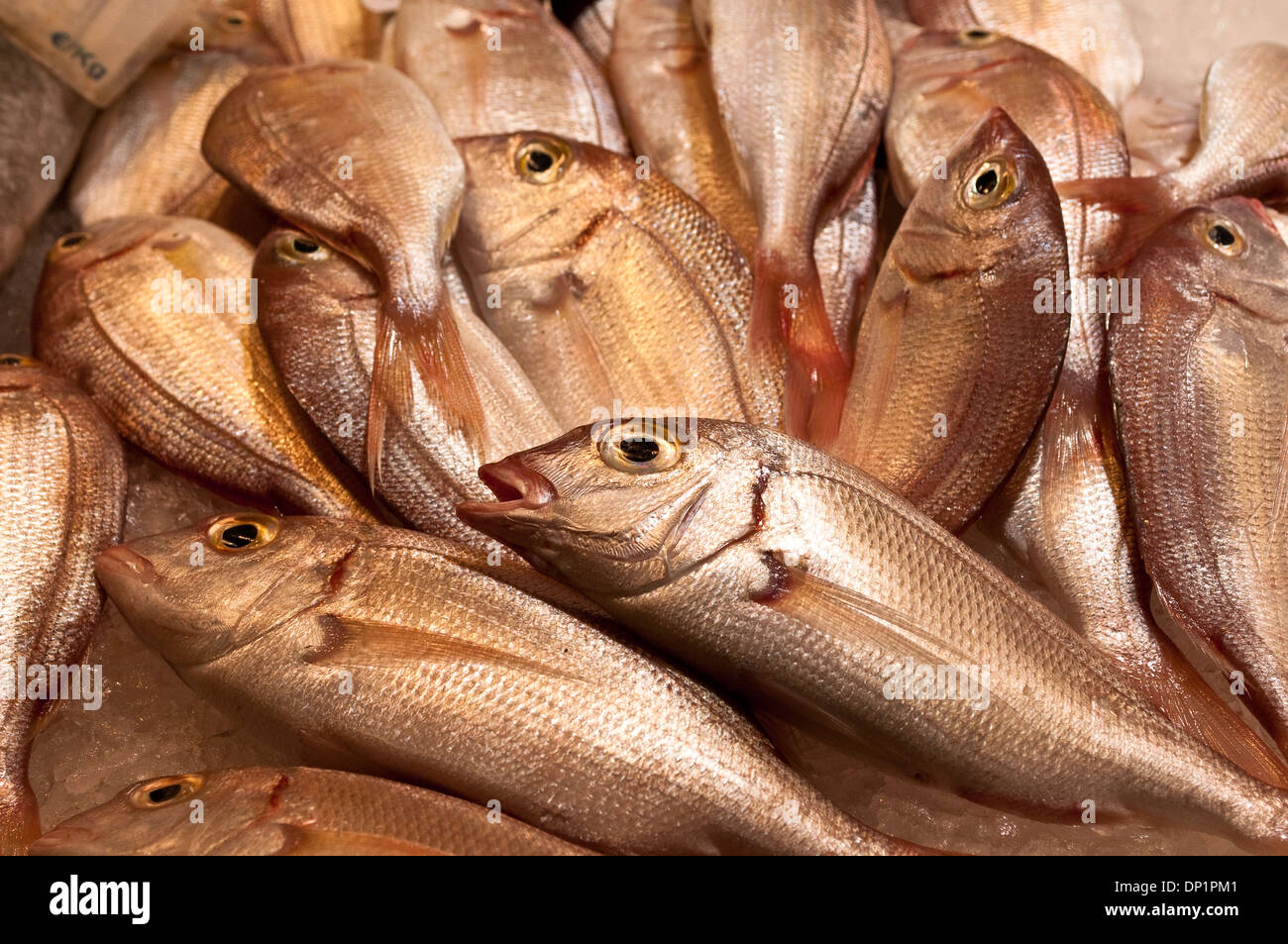 Pesci, al mercato della Boqueria, La Rambla, Barcelona, Catalogna, Spagna Foto Stock