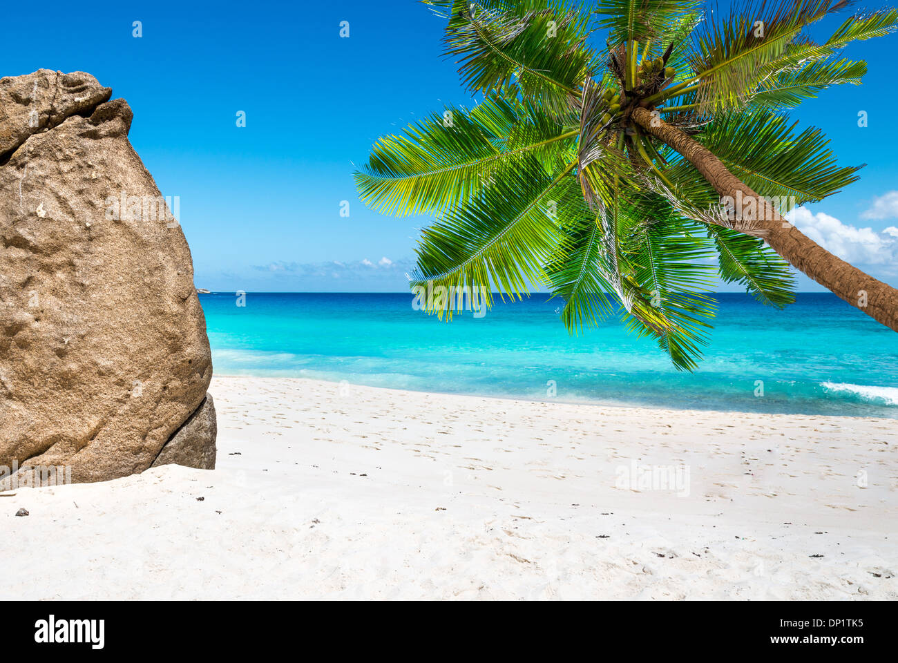 Spiaggia tropicale con foglie di palmo Foto Stock