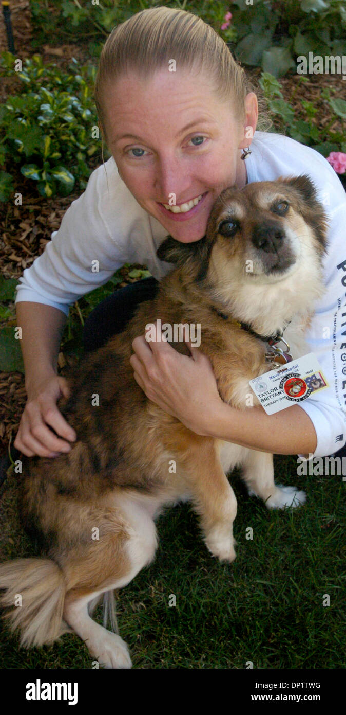 Maggio 08, 2006; San Diego, CA, Stati Uniti d'America; REGINA TAYLOR e il suo cane, Brittany la terapia cane. Brittany aiuta a curare i feriti di guerra all'Ospedale Navale di Camp Pendleton Marine Base. Taylor e la Bretagna è andato attraverso "l'amore al guinzaglio di formazione e sono i volontari della Croce Rossa. Credito: Foto di Roni Galgano/ZUMA premere. (©) Copyright 2006 da San Diego Union Tribune Foto Stock