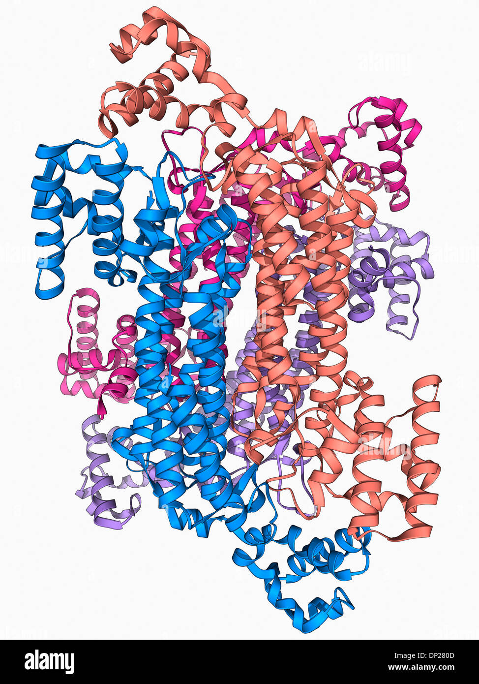 Lente oculare molecola di proteina Foto Stock