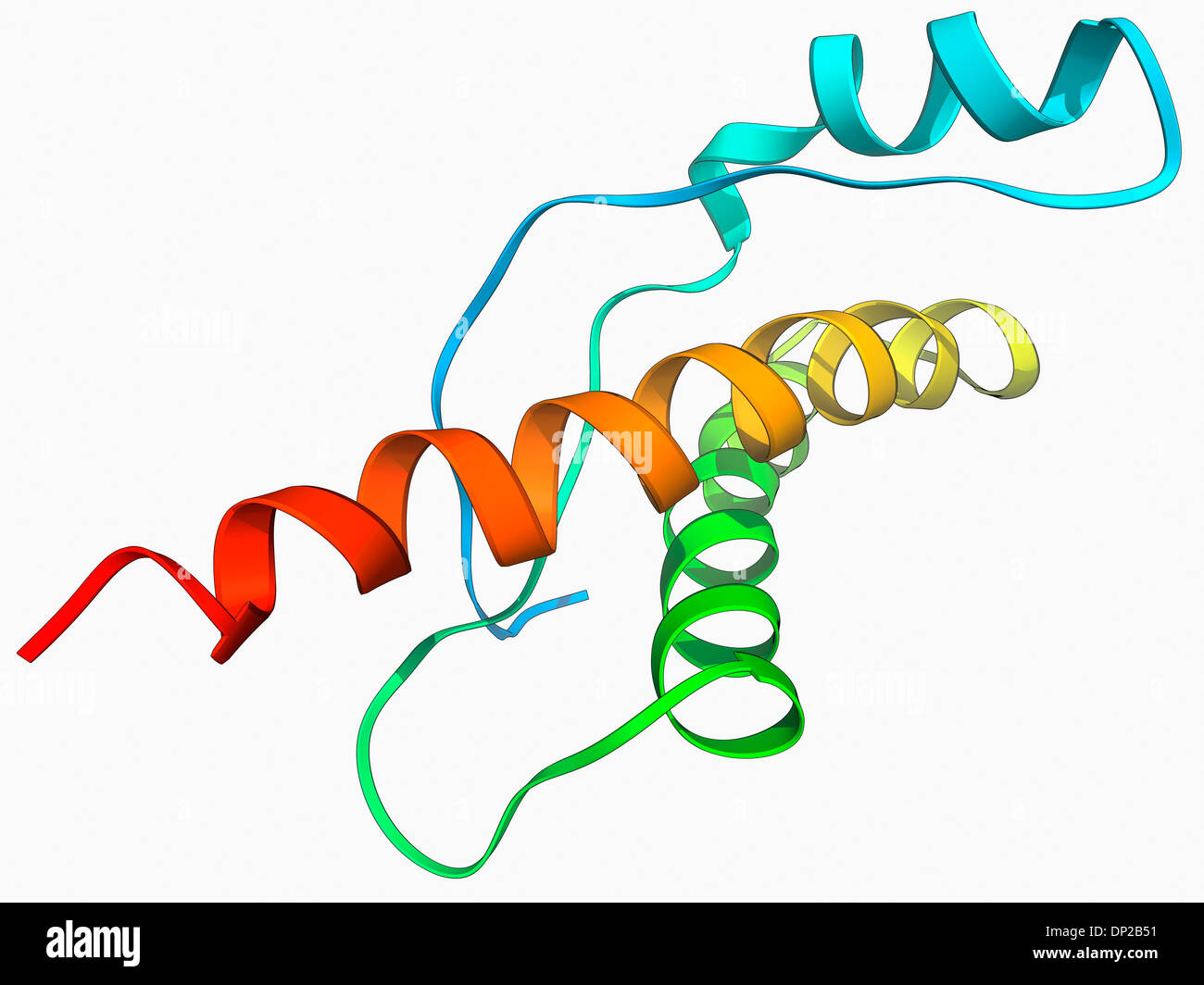 Umano proteina prionica, modello molecolare Foto Stock