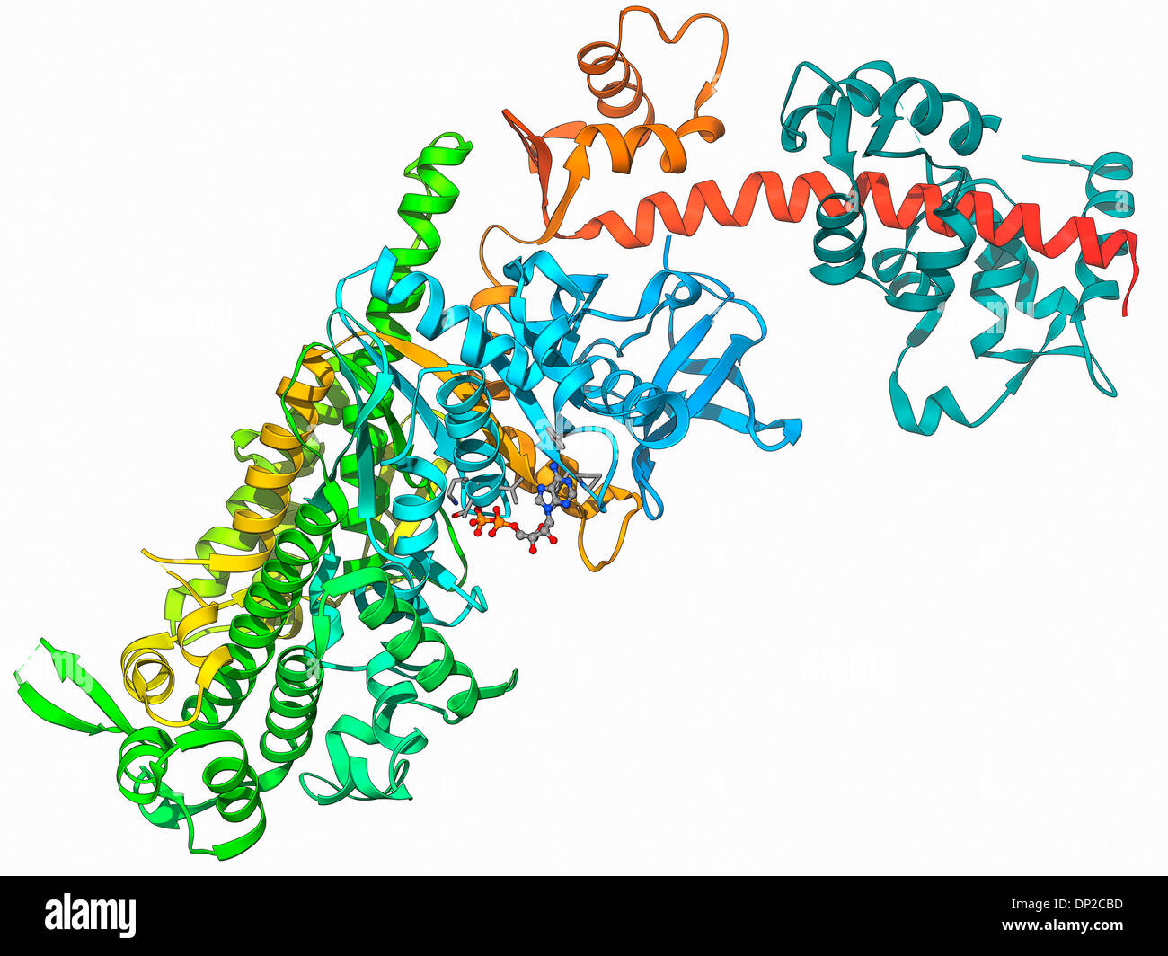 Motore molecolare proteina Foto Stock