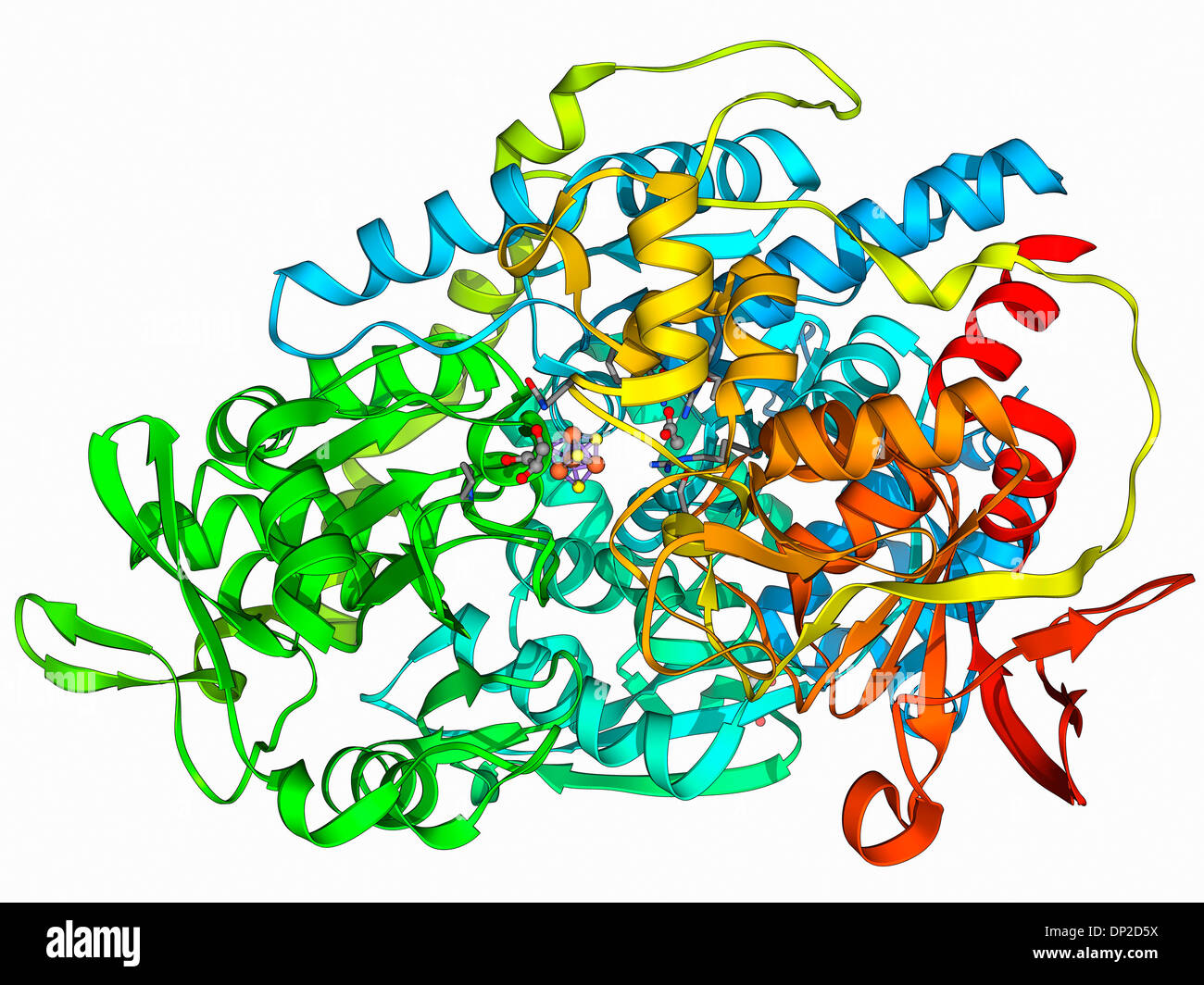 Ferro-proteina regolatoria, modello molecolare Foto Stock