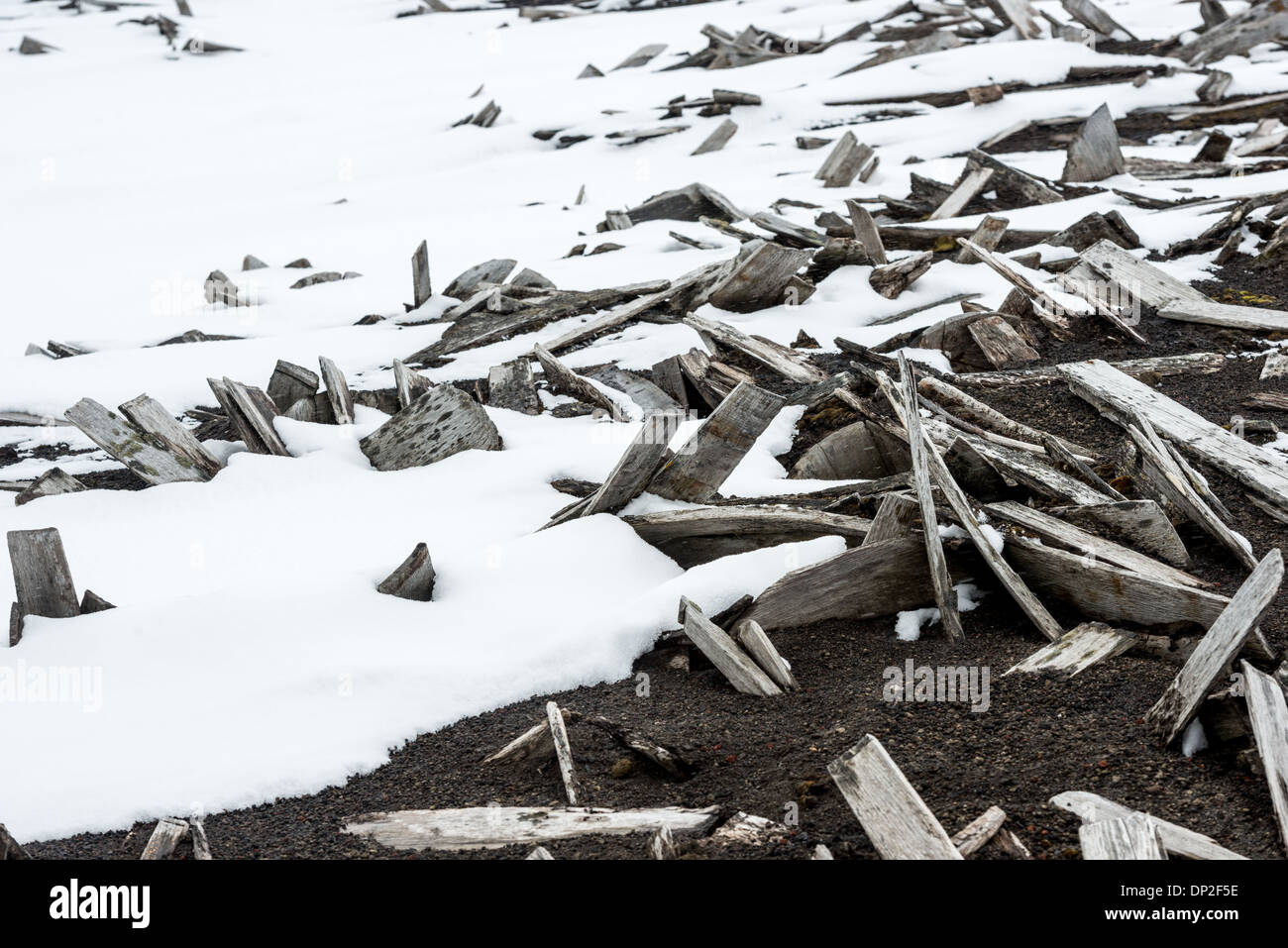 Antartide - alberi di legno giacciono sulla spiaggia parzialmente coperto di neve tra le rovine della ex stazione baleniera a Whalers Bay sull isola Deception. Isola Deception, a sud le isole Shetland, è una caldera di un vulcano ed è composta di roccia vulcanica. Foto Stock