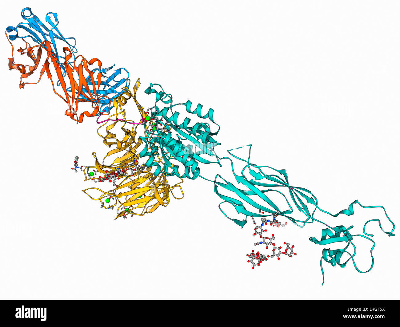 Integrina e fibrinogeno molecola complessa Foto Stock