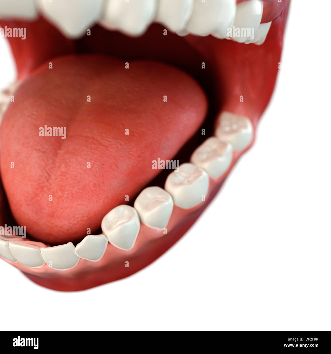 Denti sani, artwork Foto Stock