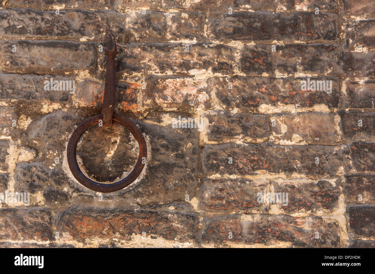 Il vecchio cavallo gancio sulla parete di Siena, Italia Foto Stock