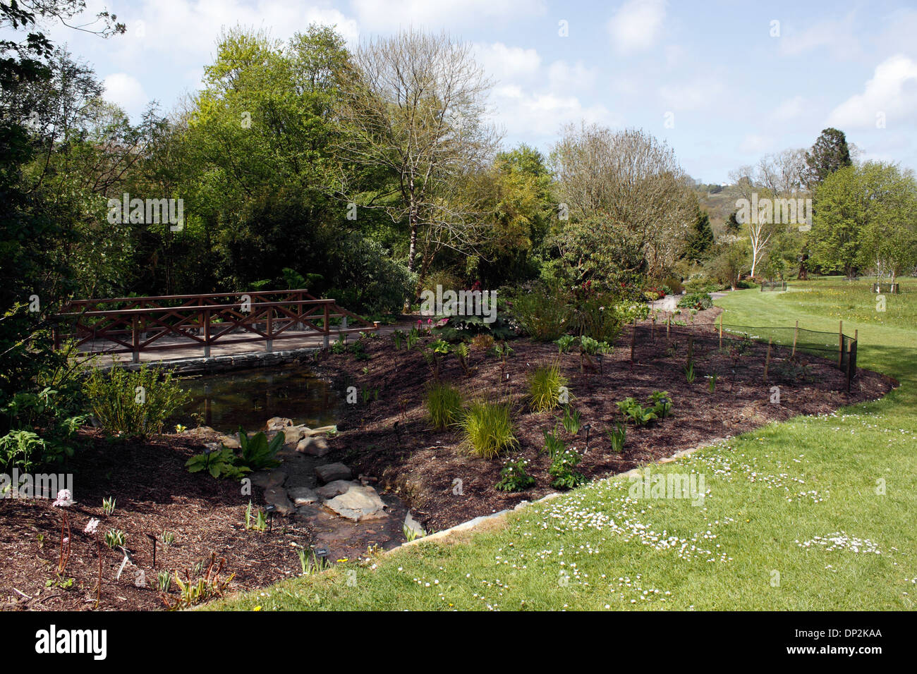 Piantate BOG giardino alla RHS ROSEMOOR. DEVON UK. Foto Stock