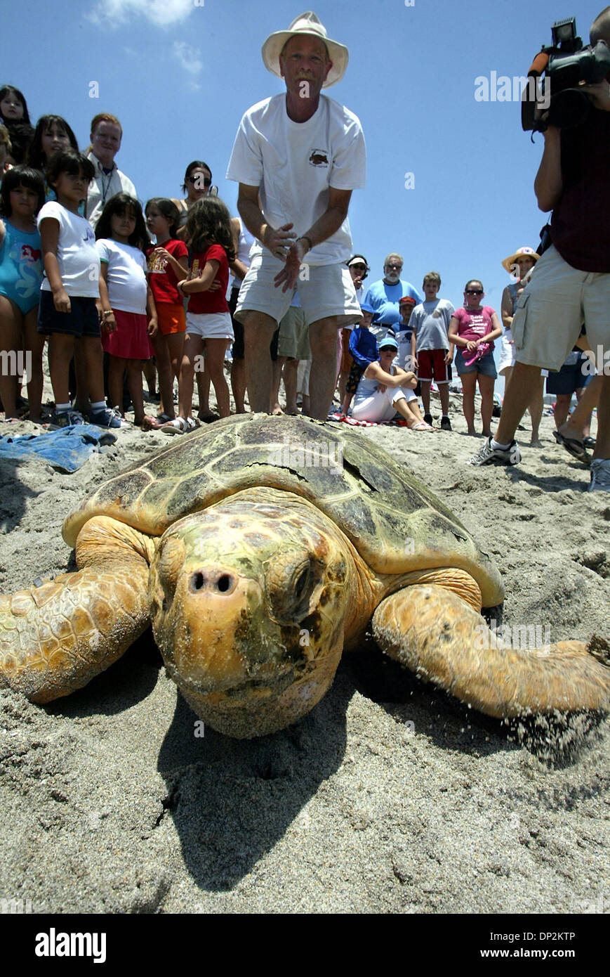 Jun 06, 2006; Boca Raton, FL, Stati Uniti d'America; allietate dal conservazionista marino Dr. Kirt Rusenko, marinaio, la tartaruga caretta, teste home, indietro nell'oceano a South Beach Park Martedì 6 giugno 2006. Boca Raton lifeguard Greg Ryan salvato Sailor nel surf nel febbraio 18. Il martedì, ha contribuito a un team da Gumbo Limbo Nature Center release marinaio e un altro Caretta, Oleta, nell'ATL Foto Stock