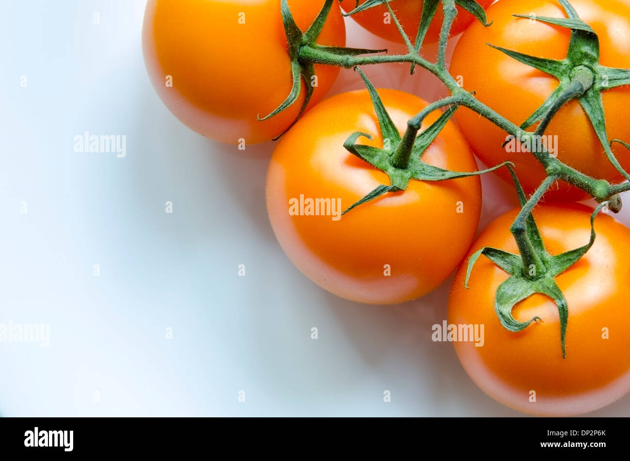Succosa freschi pomodori arancione ramo su sfondo bianco Foto Stock