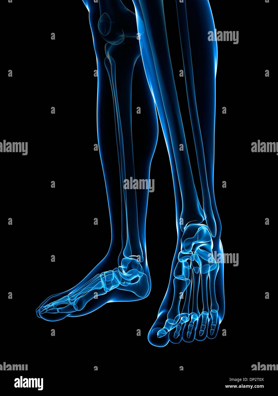Piedi scheletrico, artwork Foto Stock