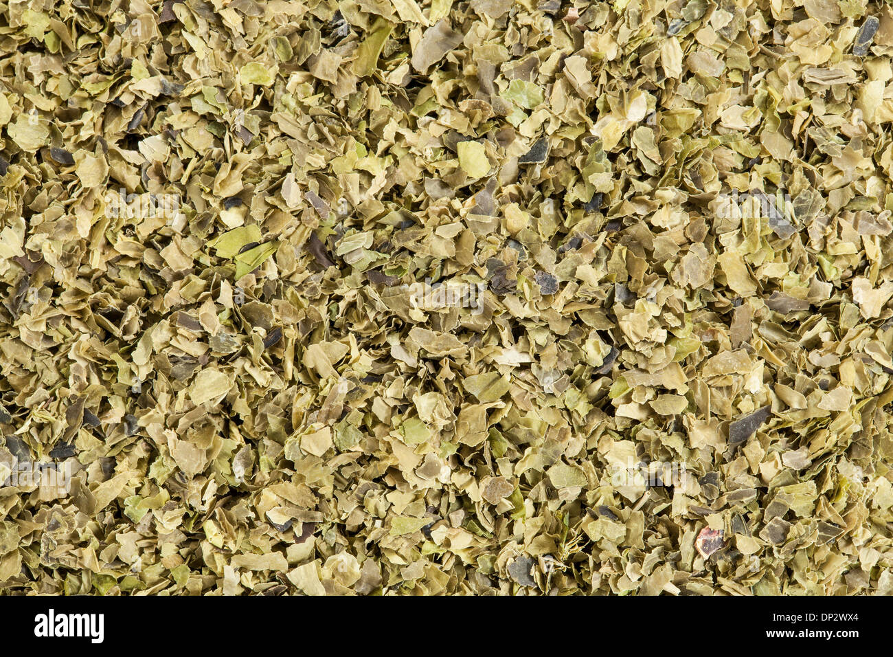 Sfondo di essiccato di lattuga di mare le alghe (Ulva lactucas). Foto Stock