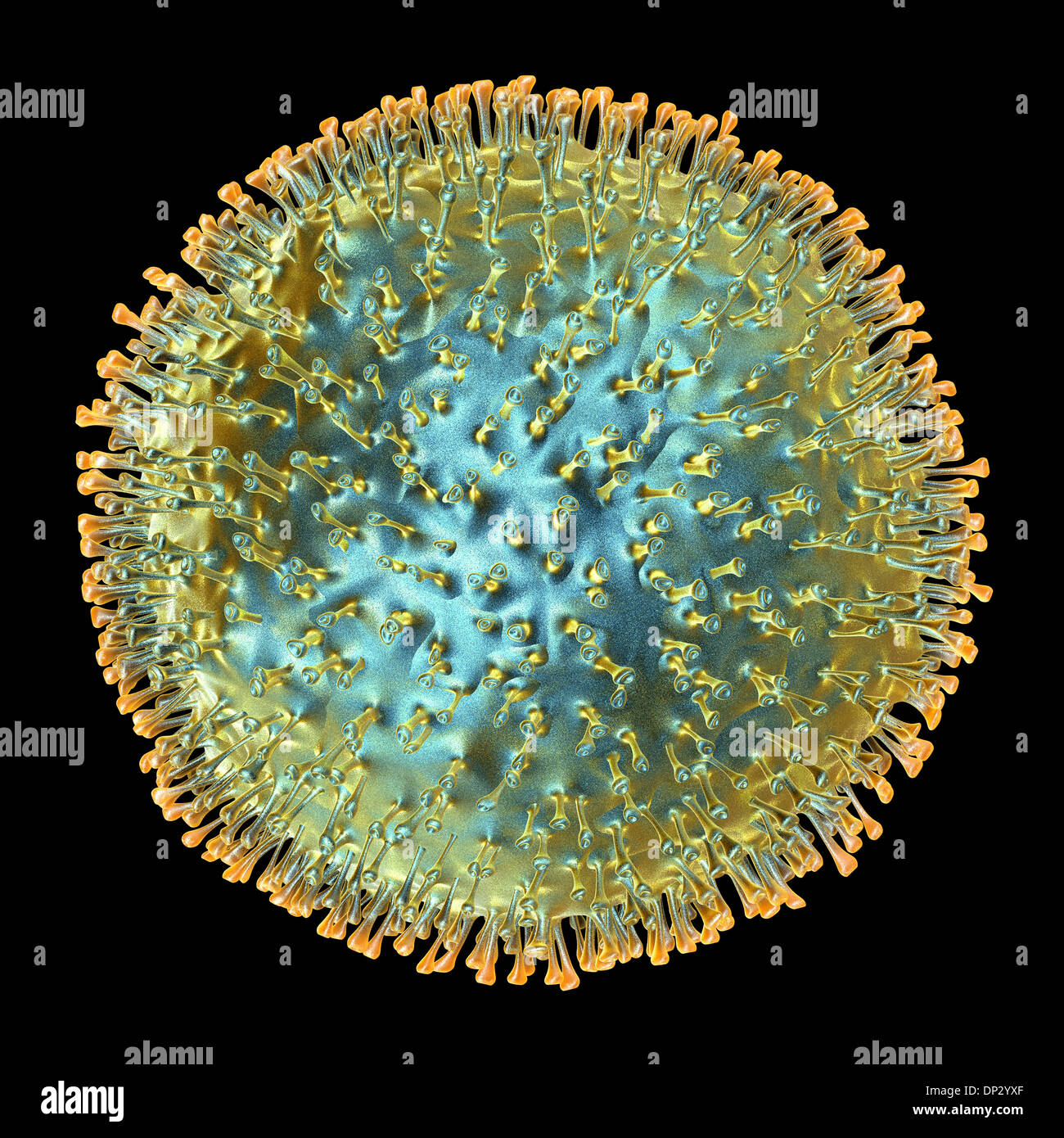 Virus dell'influenza aviaria, artwork Foto Stock