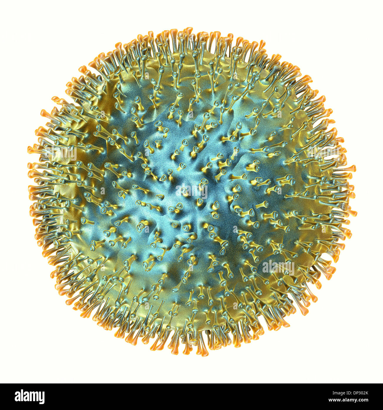 Virus dell'influenza aviaria, artwork Foto Stock