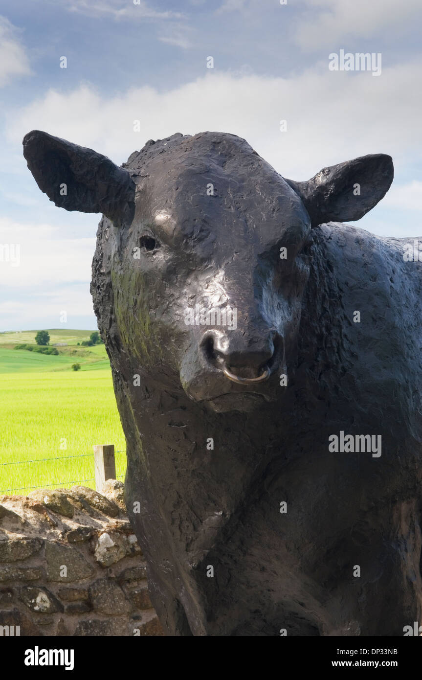 Statua di un Aberdeen Angus bull all'ingresso della città di Alford, Aberdeenshire, Scozia. Foto Stock