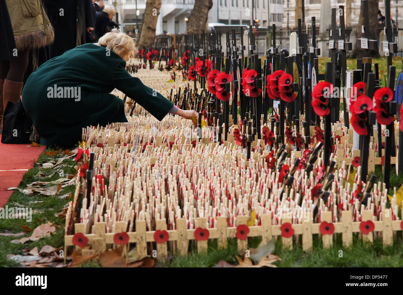 La donna nel manto verde impianti un ricordo croce sul Giorno del Ricordo vicino a Abbazia di Westminster, Londra England Regno Unito Regno Unito Foto Stock