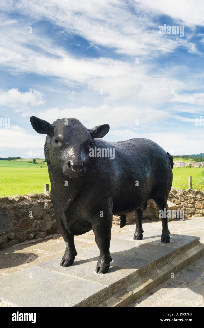 Statua di un Aberdeen Angus bull all'ingresso della città di Alford, Aberdeenshire, Scozia. Foto Stock