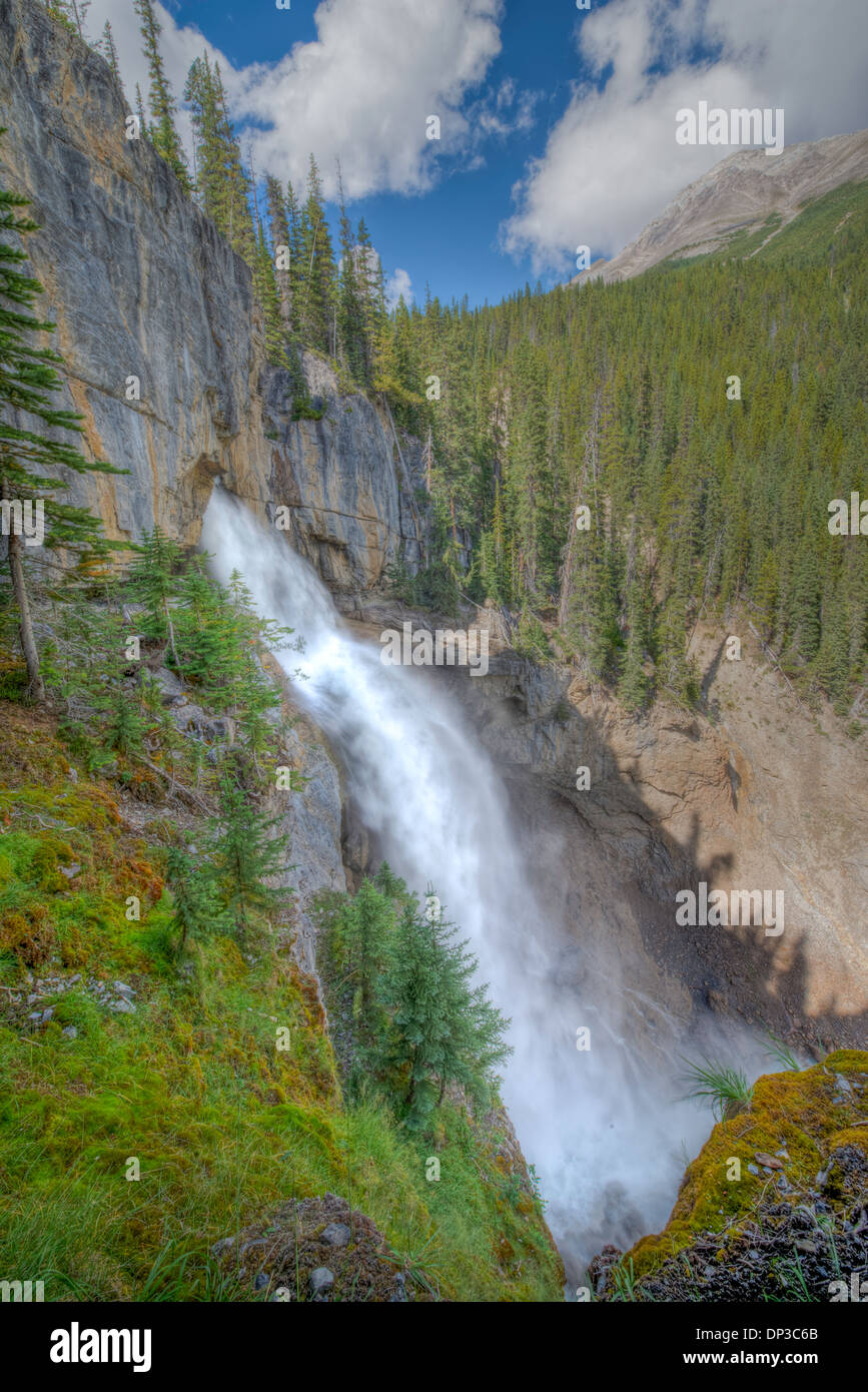 Panther Falls, Icefields Parkway, Alberta, Canada Canadian Rockies Foto Stock