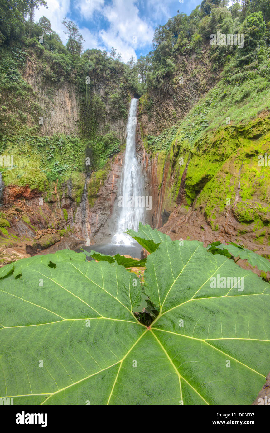 Toro cascata, Juan Castro National Park, Costa Rica, foresta pluviale centrale gamma vulcanica Area di Conservazione Foto Stock