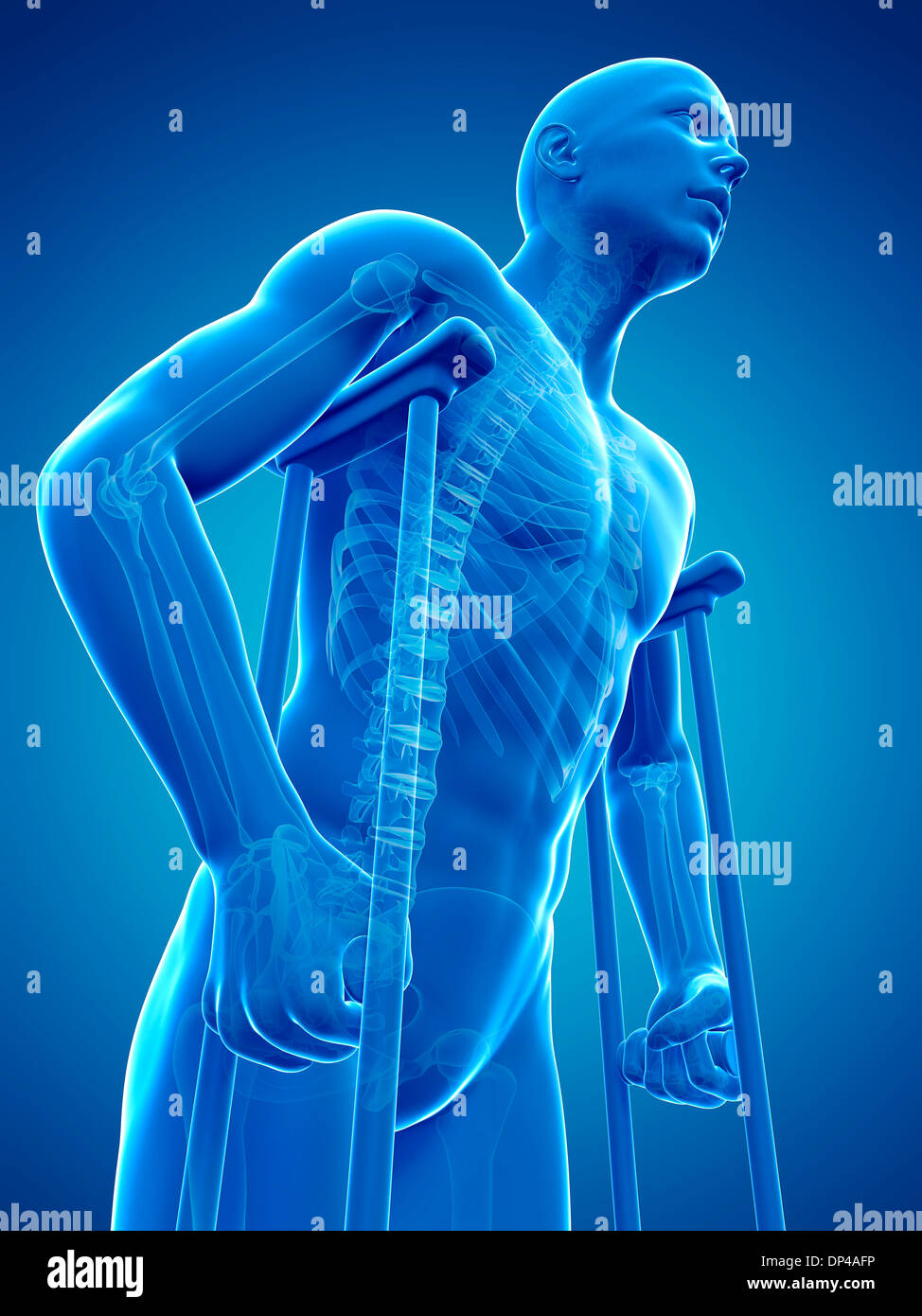 Scheletro maschio, artwork Foto Stock