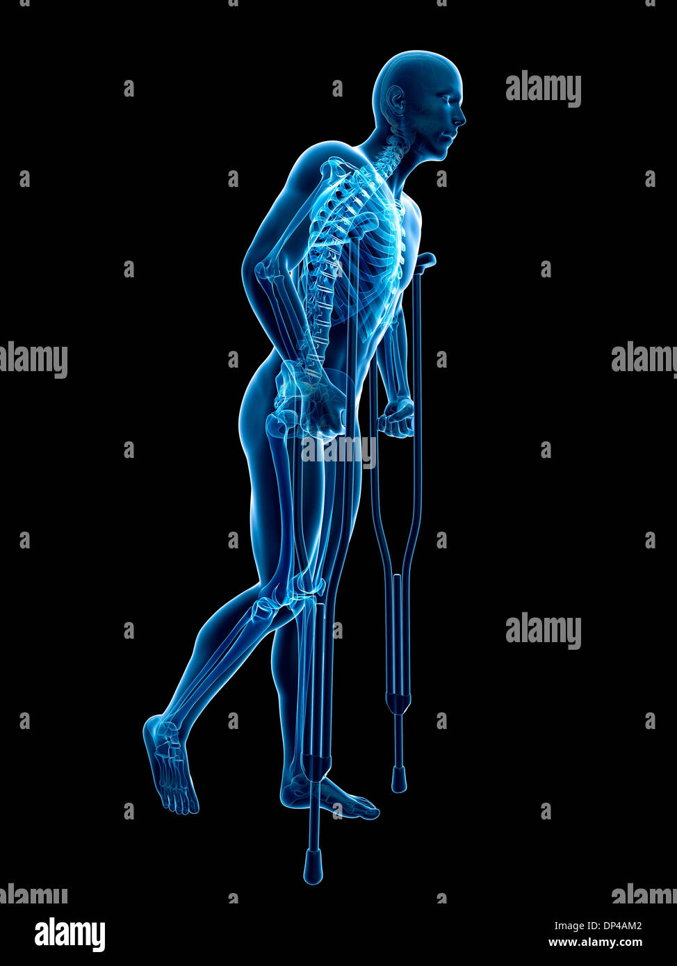 Scheletro maschio, artwork Foto Stock