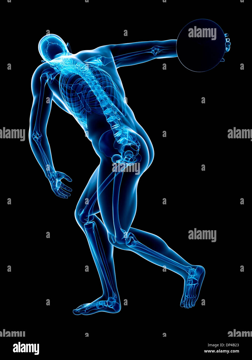 Scheletro maschio, artwork Foto Stock