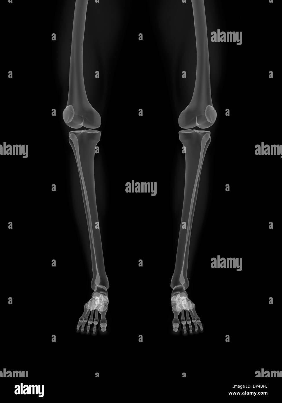 Piegò le gambe, artwork Foto Stock