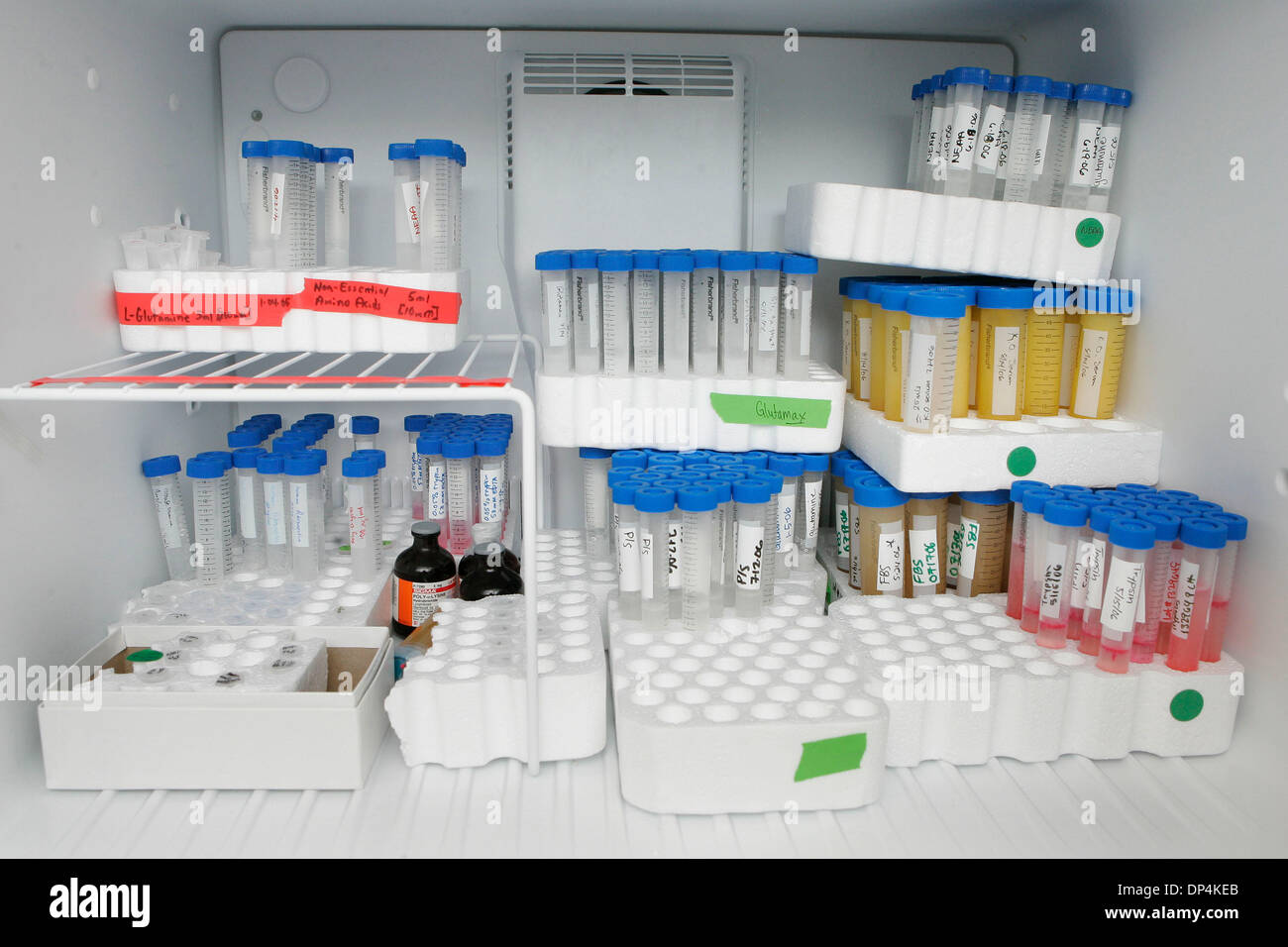 Aug 16, 2006; San Diego, CA, Stati Uniti d'America; Larry Goldstein sarà parlando di come il dibattito morale sulla ricerca sulle cellule staminali embrionali negli Stati Uniti è di ostacolare la sua ricerca. Che ti ci mostrano il suo laboratorio dove ha appositamente contrassegnare le attrezzature per ricordare gli scienziati ciò che è stato pagato con il denaro del governo e di ciò che è stato pagato con donazioni private. Gli scienziati non possono lavorare con tutti embrione Foto Stock