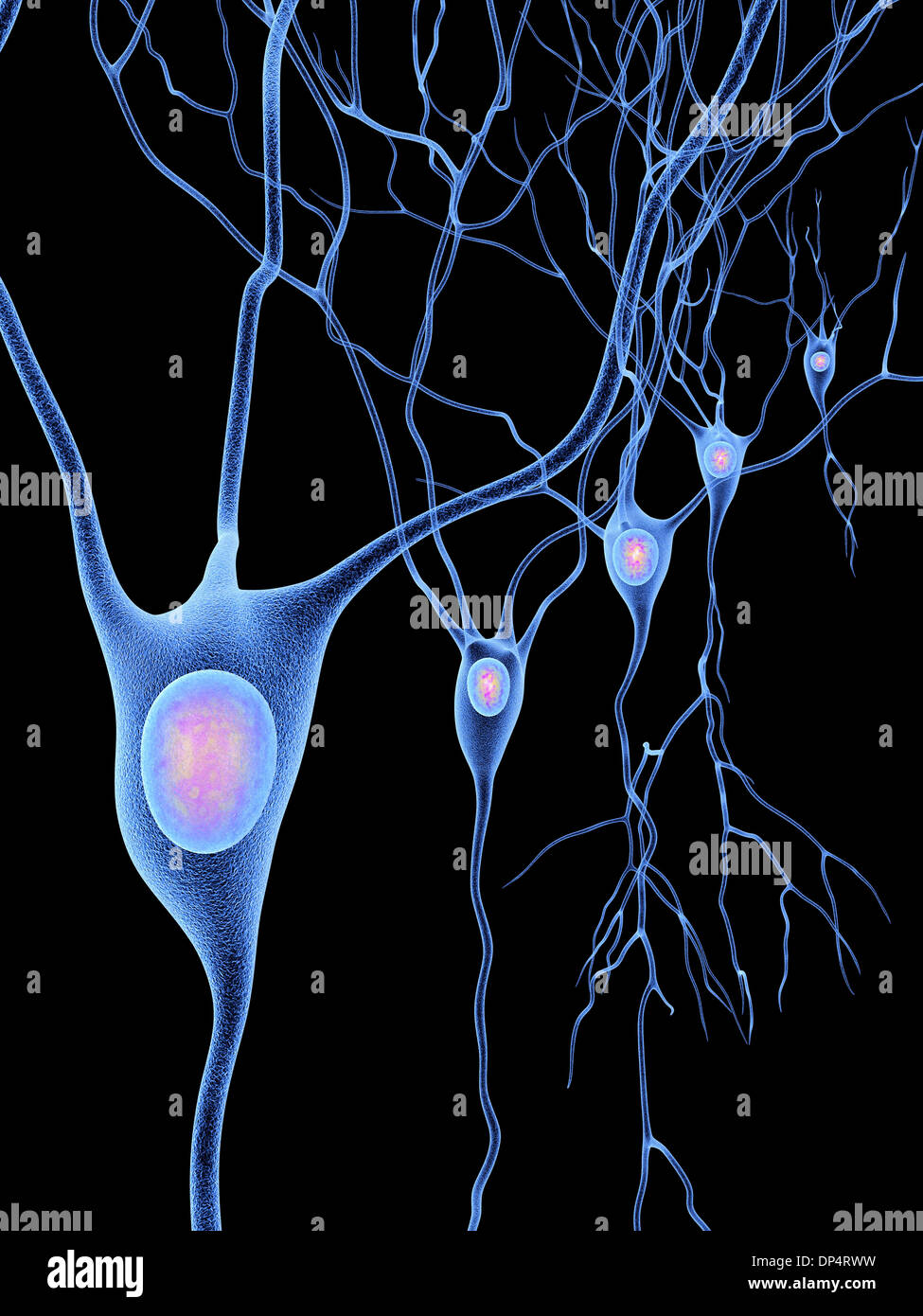 Le cellule nervose, artwork Foto Stock