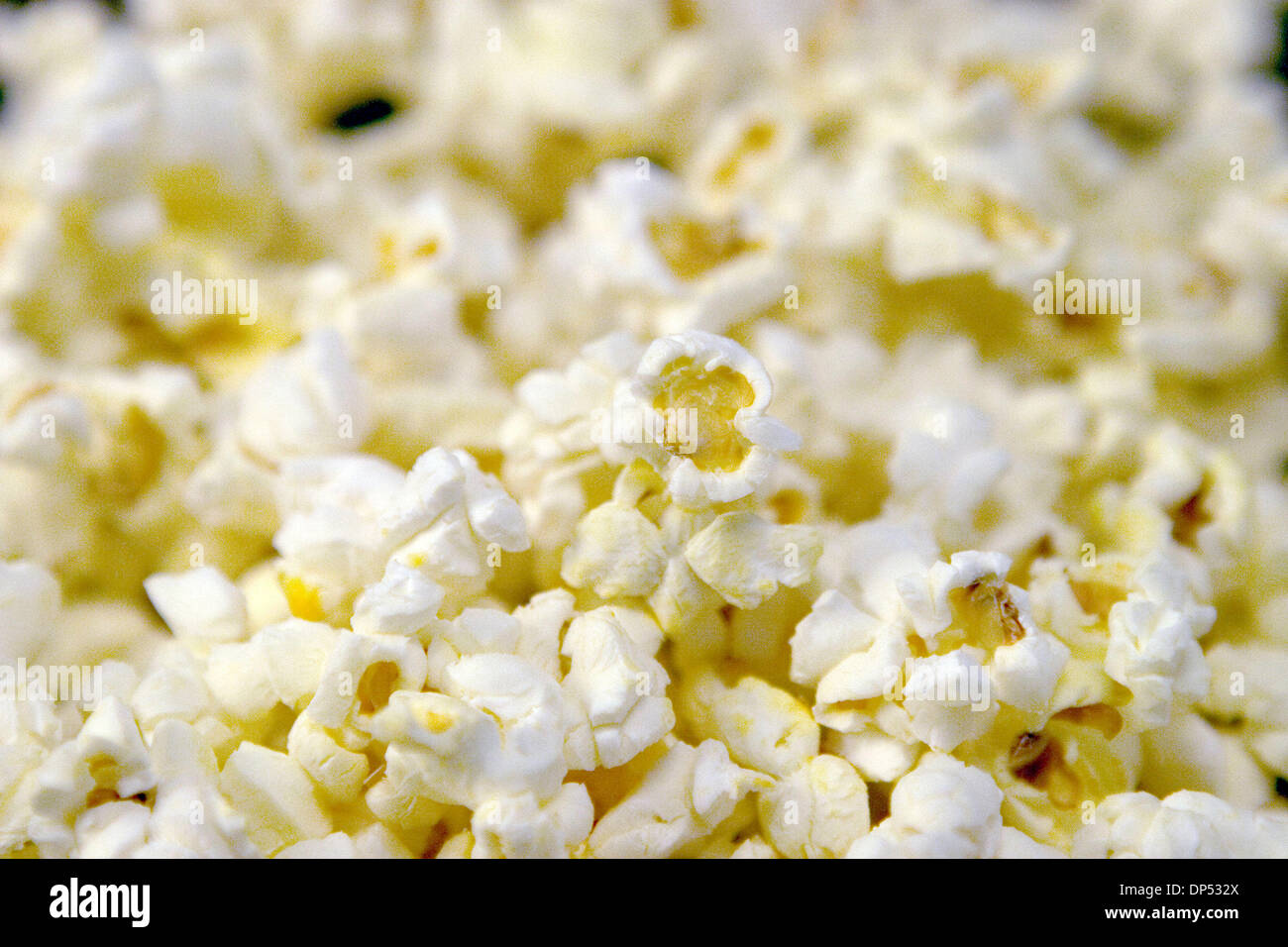 Aug 29, 2006; Los Angeles, CA, Stati Uniti d'America; Popcorn o pop corn è  un tipo di mais che si gonfia quando è riscaldato in olio o da calore  secco. Particolare varietà