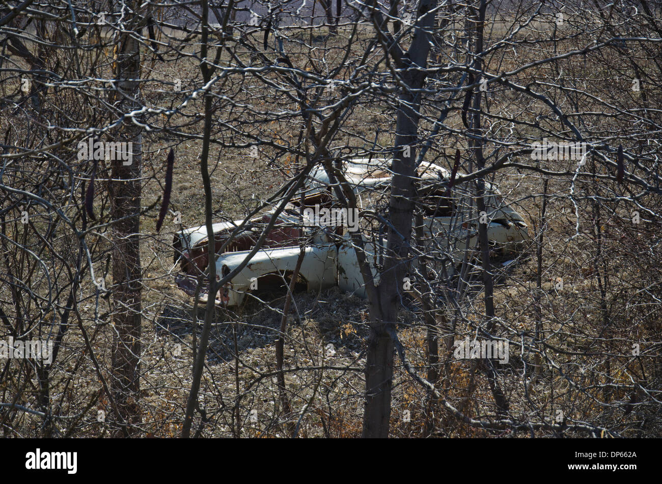 Anni Cinquanta vettura russa "Pobeda" nella foresta Armenia Foto Stock