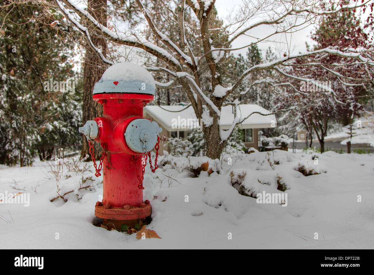 Natale di un cane. Idrante antincendio rosso con fondo coperto di neve. Foto Stock