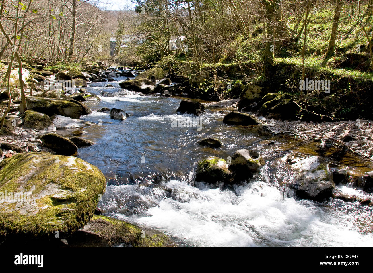 L'Oriente Lyn fiume vicino a Rockford in North Devon Foto Stock