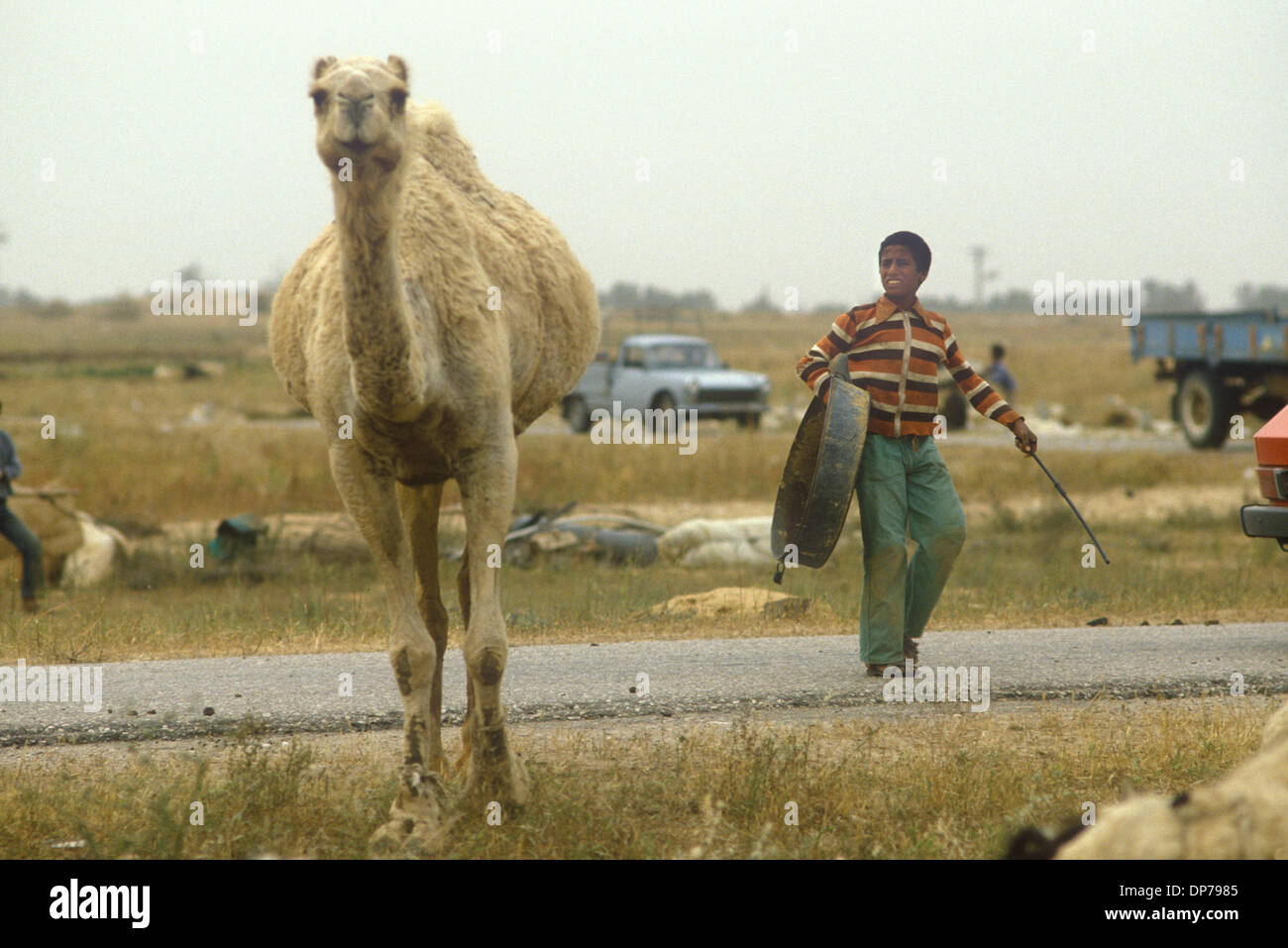 Un adolescente indigeno beduino con il suo cammello, si trova nell'ex insediamento israeliano di Yamit, che è stato abbattuto come parte del trattato di pace Egitto-Israele. Sta cercando qualcosa di valore. Deserto del Sinai Israele 1982.1980s HOMER SYKES Foto Stock